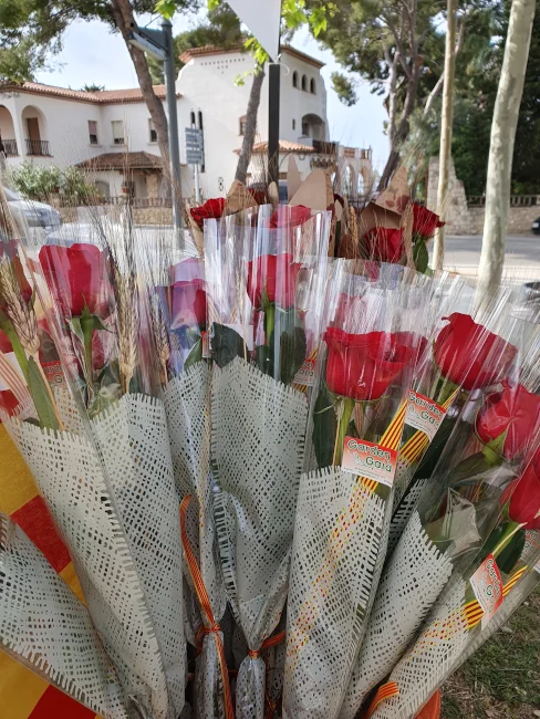 Art Florar Grup La Rasa Sant Jordi