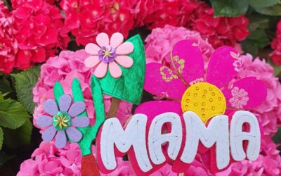 5 flors per regalar el dia de la mare