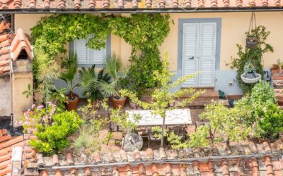 Idees per decorar balcons i espais petits amb plantes.
