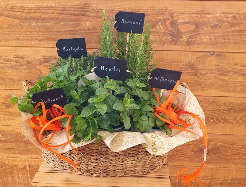 plantes aromàtiques cuina altafulla catllar tarragona