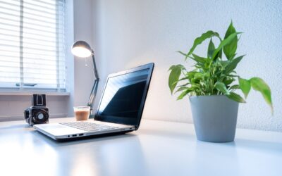 Plantes per una oficina saludable