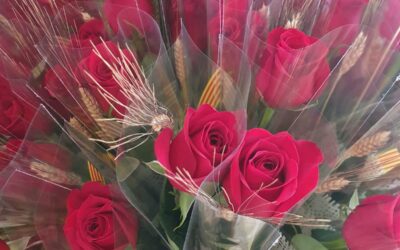 Sant Jordi: com fer que la teva rosa duri més dies