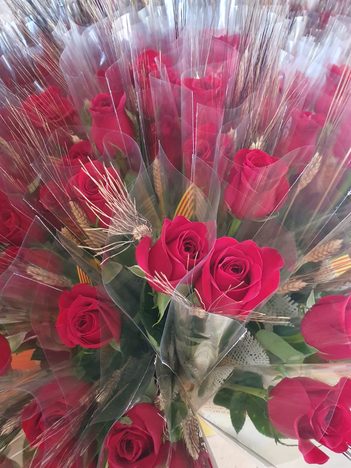 Sant Jordi roses llibres Tarragona Altafulla Catllar Torredembarra